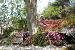 Bodnant Garden Wallpaper