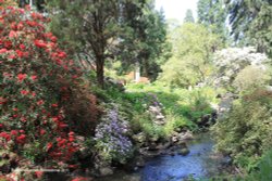 Bodnant Garden Wallpaper