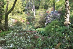 Bodnant Garden Wallpaper