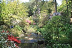 Bodnant Garden Wallpaper