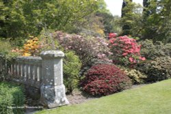 Bodnant Garden Wallpaper