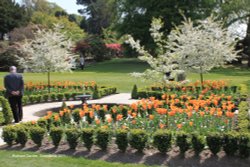 Bodnant Garden Wallpaper