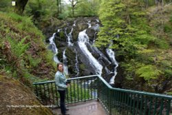 The Swallow Falls, Betwys-y-coed Wallpaper