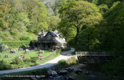 The tea room and garden at Watersmeet Wallpaper