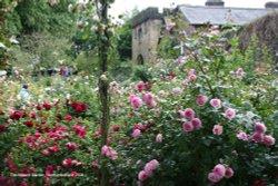 The Alnwick Garden in Alnwick Wallpaper