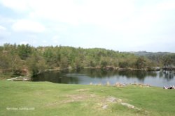 Tarn Hows