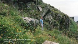 The cliff path between Lamorna and Mousehole Wallpaper