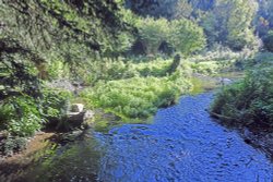 The River Darent at Lullingstone Castle Garden Wallpaper