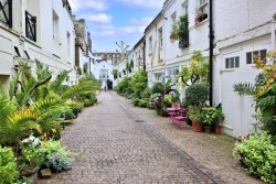 Lots of Greenery to Brighten Up Stanhope Mews in South Kensington Wallpaper