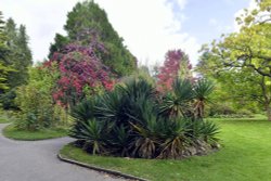 The Botanical Gardens, Bath Wallpaper