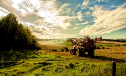 A view across Nazeing Common Wallpaper