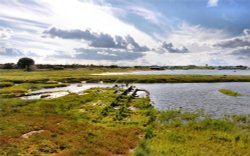 Rotten Boat Remains in the Kench Saltmarsh on Hayling Island Wallpaper