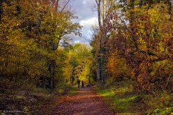 Autumn Walk Wallpaper