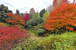 Leonardslee Gardens, Horsham Wallpaper