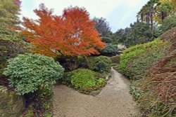 Leonardslee Gardens, Horsham Wallpaper