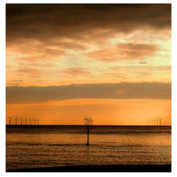 evening wind farm Wallpaper