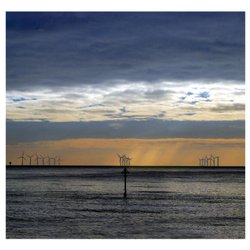 Morning wind farm Wallpaper