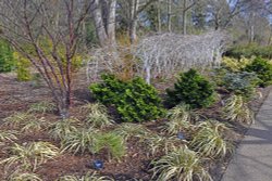 RHS Garden at Wisley Wallpaper