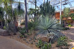 RHS Garden at Wisley Wallpaper