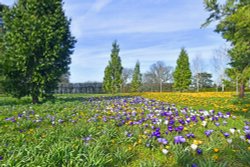 RHS Garden at Wisley Wallpaper