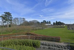 The gardens at RHS Wisley Wallpaper