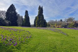 The gardens at RHS Wisley Wallpaper