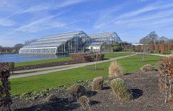 Garden at RHS Wisley Wallpaper