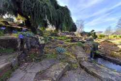 Garden at RHS Wisley Wallpaper