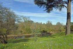 Garden at RHS Wisley Wallpaper