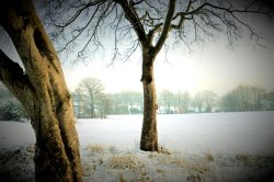 Snow in Sugden Park, Gomersal, Cleckheaton, West Yorkshire. Wallpaper