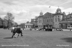 Badminton Horse Trials, Gloucestershire 2022