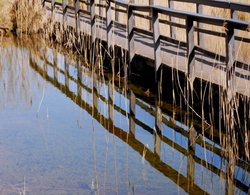 Wooden Footbridge Wallpaper