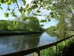 River Don Sprotbrough Wallpaper