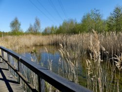 Bridge and Pond RSPB Old Moor Wallpaper