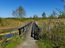 Footbridge RSPB Old Moor Wallpaper