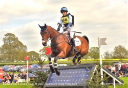 Badminton Horse Trials, Gloucestershire 2023 Wallpaper