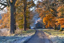 A frosty morning at Brampton Bryan. Wallpaper