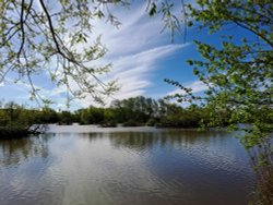 Ferrymoor Flash Nature Reserve Wallpaper