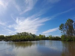 Ferrymoor Flash Nature Reserve Wallpaper