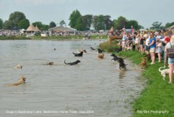 Badminton Horse Trials, Gloucestershire 2024 Wallpaper