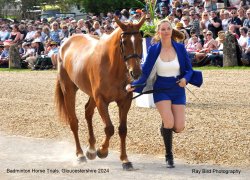 Badminton Horse Trials, Gloucestershire 2024 Wallpaper