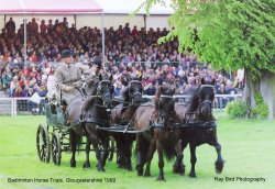 Badminton Horse Trials, Gloucestershire Wallpaper