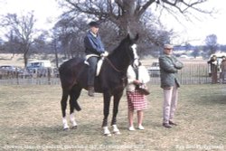 Badminton Horse Trials, Gloucestershire Wallpaper