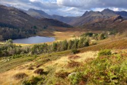 Blea Tarn with Langdale Pikes Wallpaper