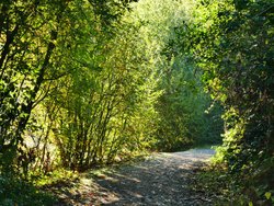 Ferrymoor Flash Nature Reserve Wallpaper