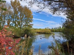 Ferrymoor Flash Nature Reserve Wallpaper