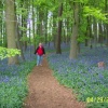 A picture of Northamptonshire