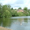 The Mere. Diss