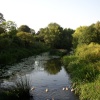 The river Avon at Reybridge, Wiltshire. Taken during the summer of 2004