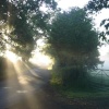 Misty Lane near Broxton, Cheshire